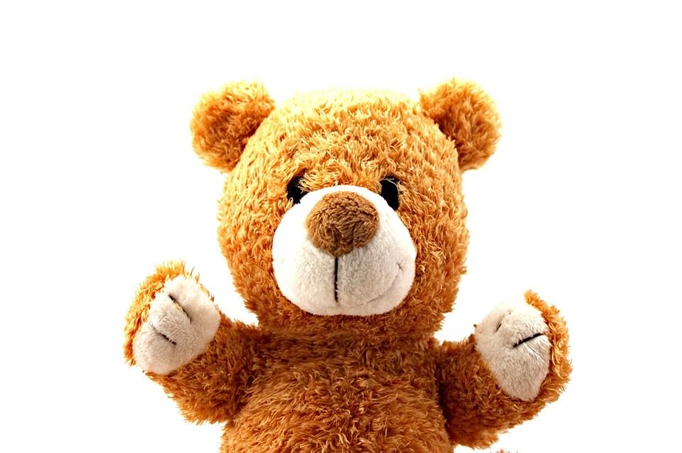 teddy bear 315390 960 720